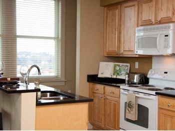 Solid maple wood cabinetry